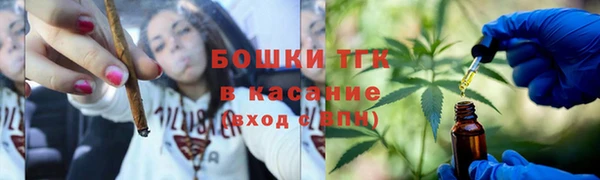 хмурый Дмитровск
