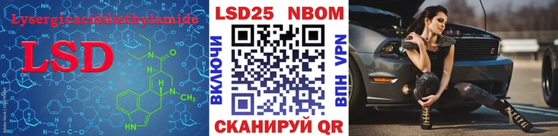 Лсд 25 экстази ecstasy  где купить   Новая Ладога 