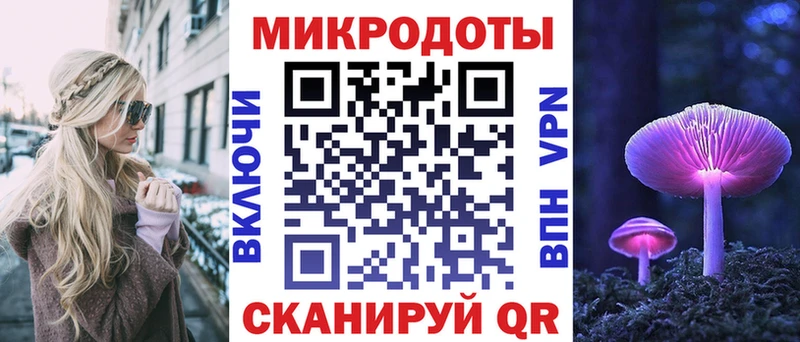 Галлюциногенные грибы ЛСД  Новая Ладога 